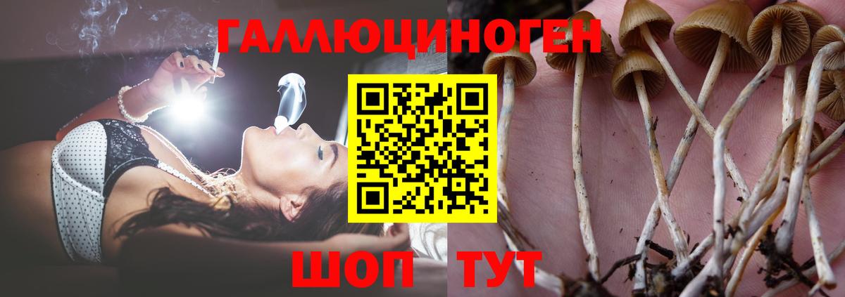 Галлюциногенные грибы мицелий  Вход с VPN  где найти наркотики  Краснознаменск 
