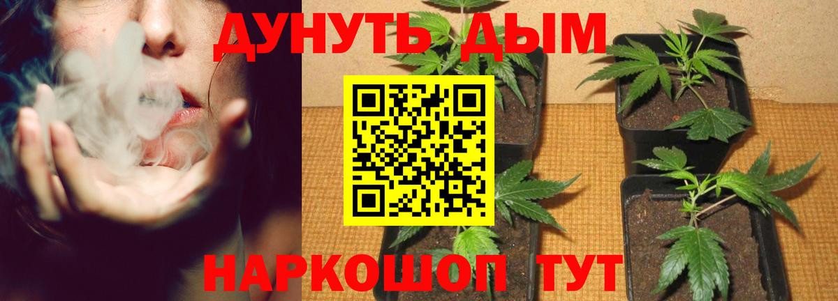 Бошки Шишки SATIVA & INDICA Краснознаменск